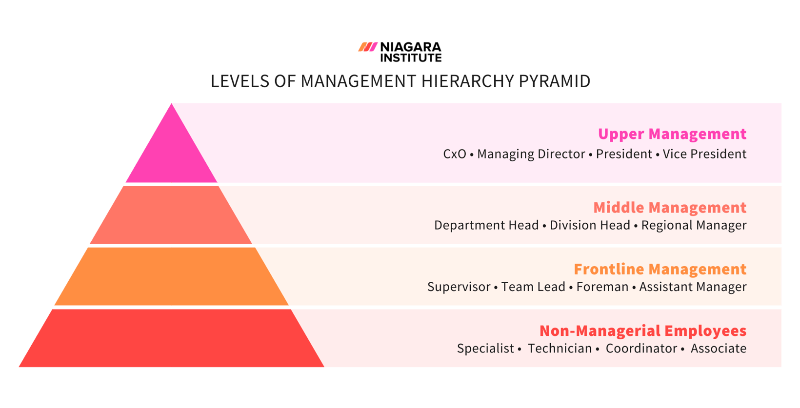 the-ultimate-guide-to-middle-management